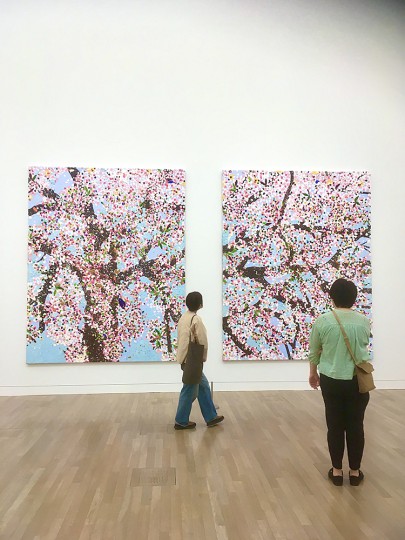 ダミアン桜２枚